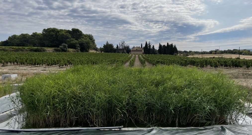 Clairéo réalisation 5