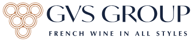 Logo GVS Group