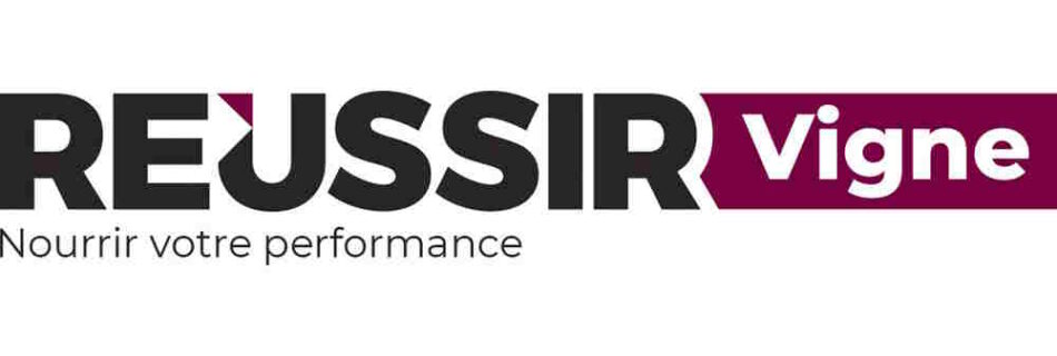 logo RVI 3